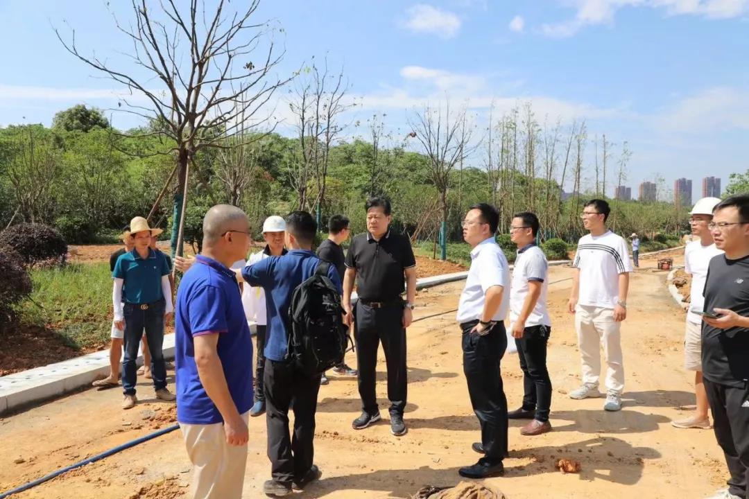 董事长谢荣华调研球友会手机版建设项目安全生产和项目推进工作