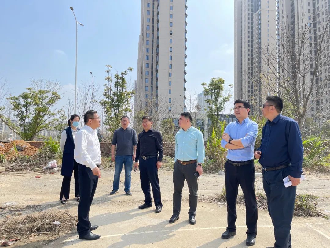 贺敏现场调研球友会手机版地产板块新摘土地项目