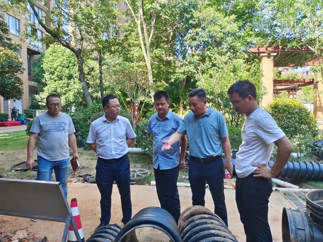 胡许亮调研球友会手机版水环境综合治理项目建设情况