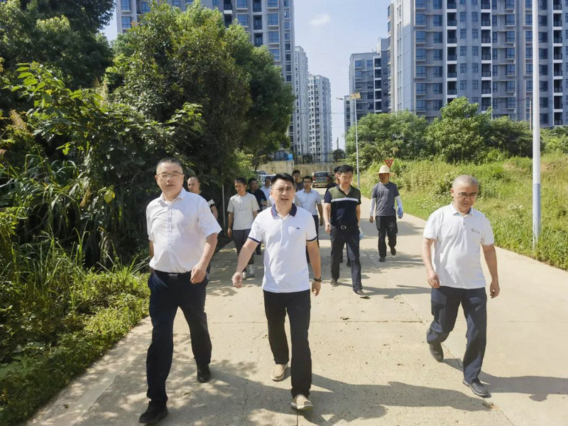 李茶根调研球友会手机版民生工程建设情况